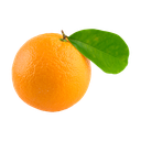 Fresh Orange 香橙 