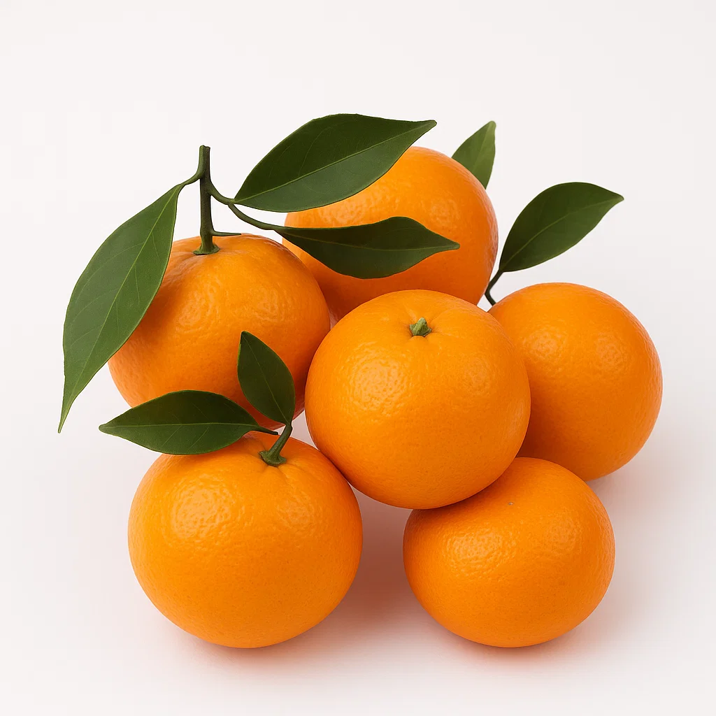 Fresh Orange 香橙 