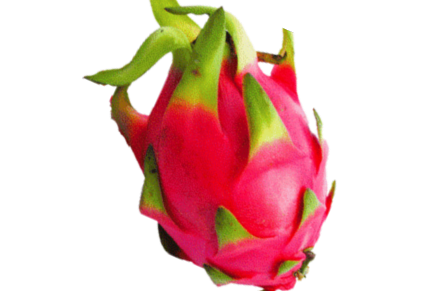 Dragon Fruits White XL 龙珠果白肉 【18pcs 】