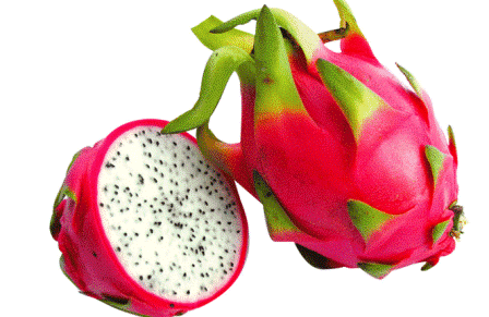 Dragon Fruits White XL 龙珠果白肉 【18pcs 】